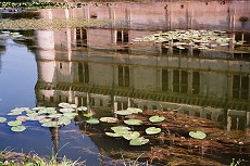 Fine Art Photograph