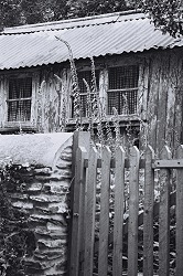 Fine Art Photograph