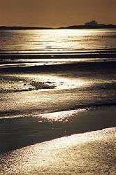 Fine Art Photograph