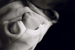 Portrait Photograph