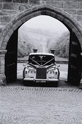 Wedding Photograph
