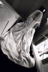 Wedding Photograph
